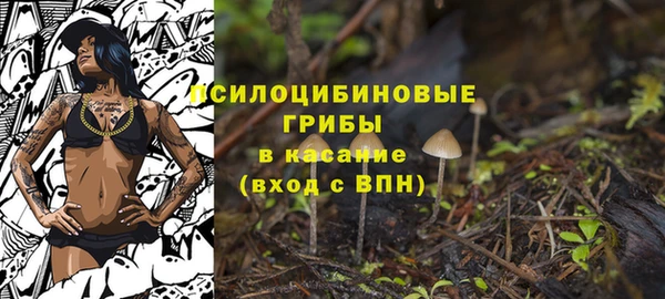 прущая мука Лиски