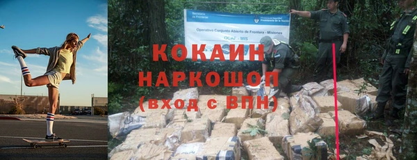 индика Зерноград