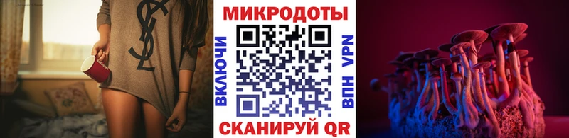 Псилоцибиновые грибы GOLDEN TEACHER  Купить закладки  Зверево 